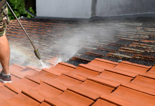 Best House Pressure Washing  in Petersburg, IN