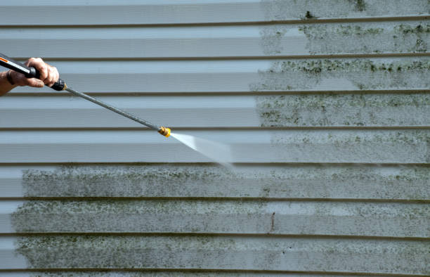Professional Pressure Washing in Petersburg, IN