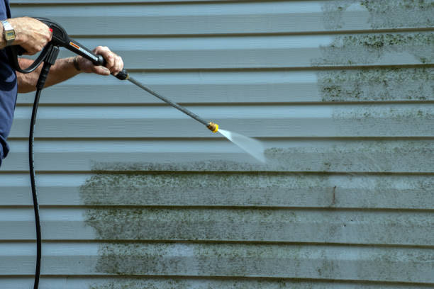 Best Deck Cleaning Services  in Petersburg, IN