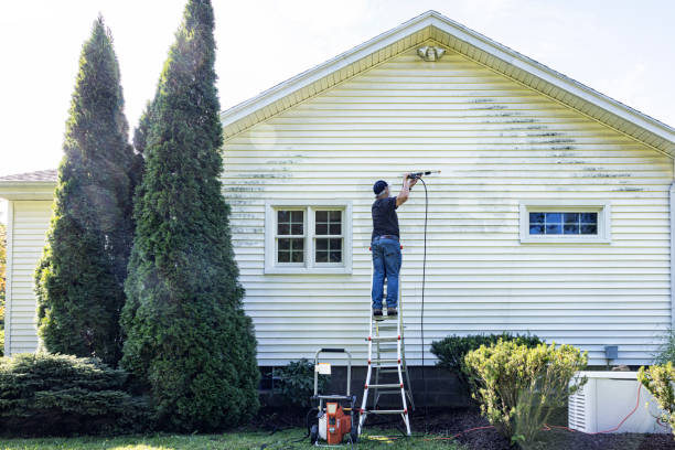 Best Roof Power Washing Services  in Petersburg, IN
