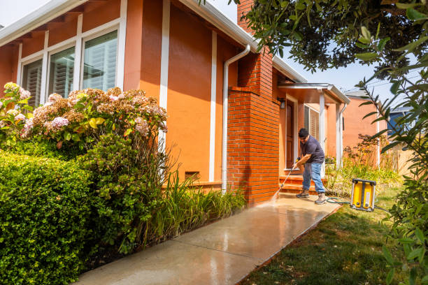 Best Deck Pressure Washing  in Petersburg, IN