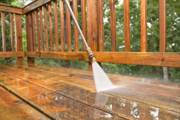 Best Pressure Washing Siding  in Petersburg, IN
