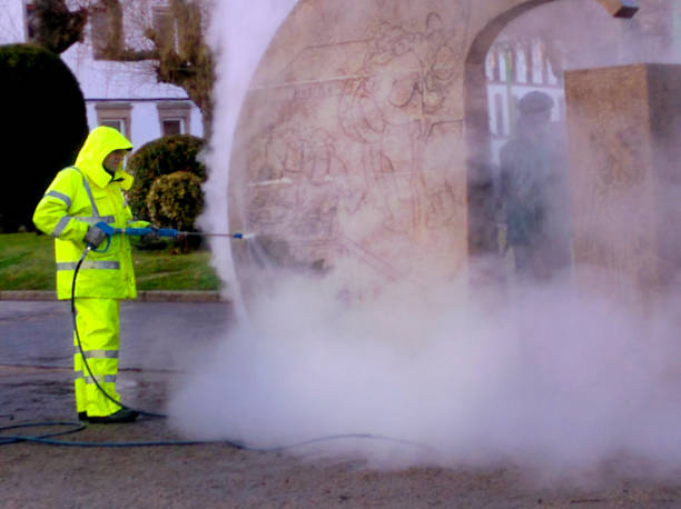 Best Exterior Home Cleaning  in Petersburg, IN