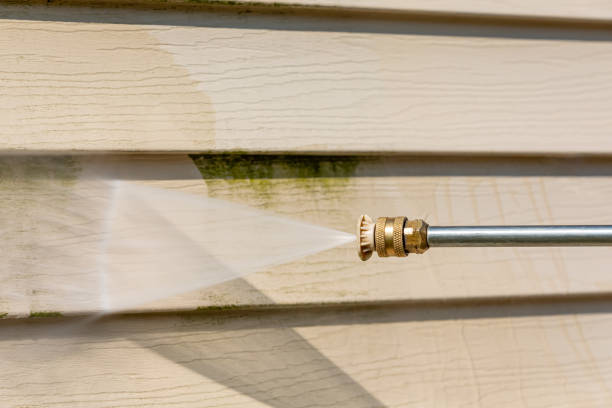 Best Pressure Washing Company Near Me  in Petersburg, IN